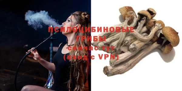 герыч Бронницы