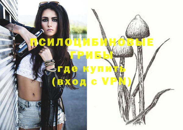 герыч Бронницы