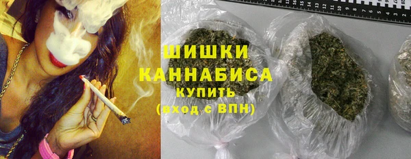 ешки Бородино