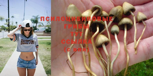 ешки Бородино