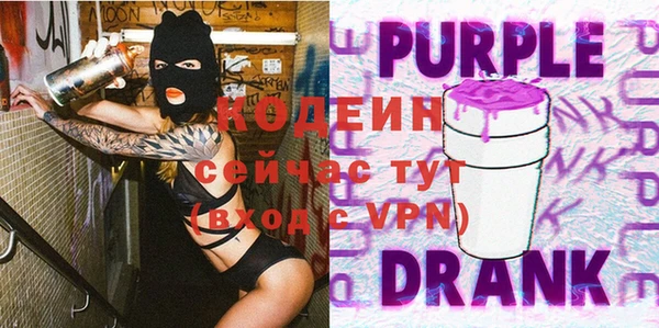 ешки Бородино