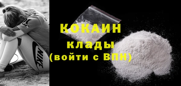 ешки Бородино