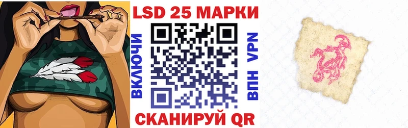 Марки N-bome 1500мкг сколько стоит Курск