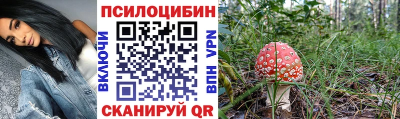 Галлюциногенные грибы ЛСД  Курск 