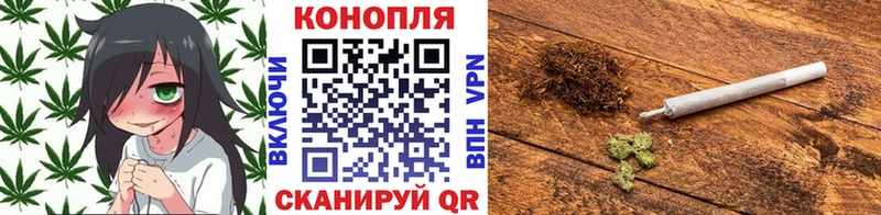 Бошки марихуана конопля  Курск 